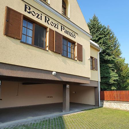 博兹罗兹班西欧酒店 Fertőboz 外观 照片