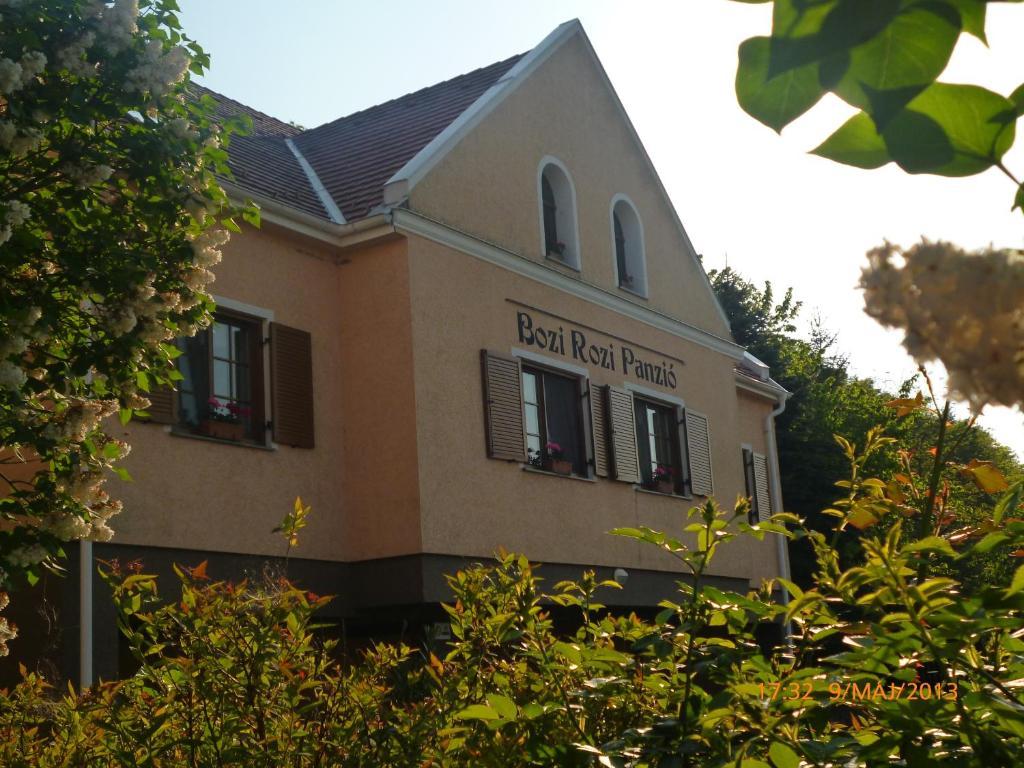 博兹罗兹班西欧酒店 Fertőboz 外观 照片